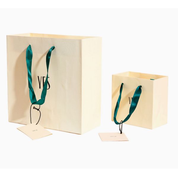 Paper gift bag with logo